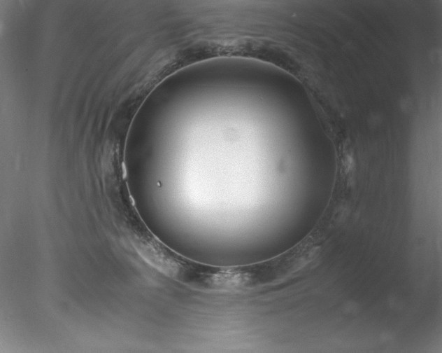 X0000078020225200611031504