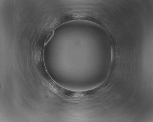 X0000078020227200611031504