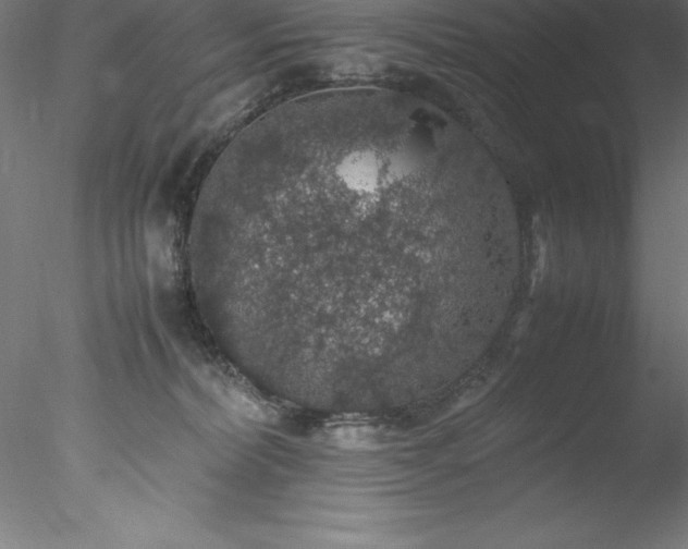 X0000078020228200611031504