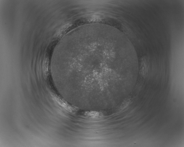 X0000078020230200611031504