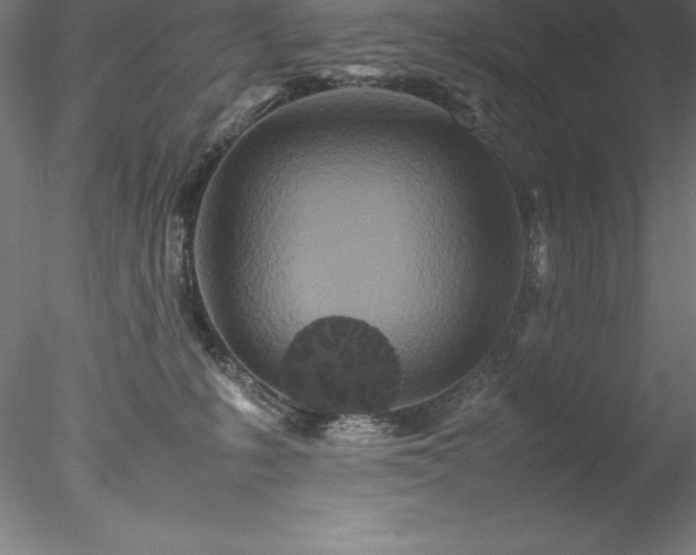 X0000078020231200611031504