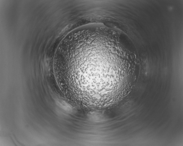 X0000078020232200611031504