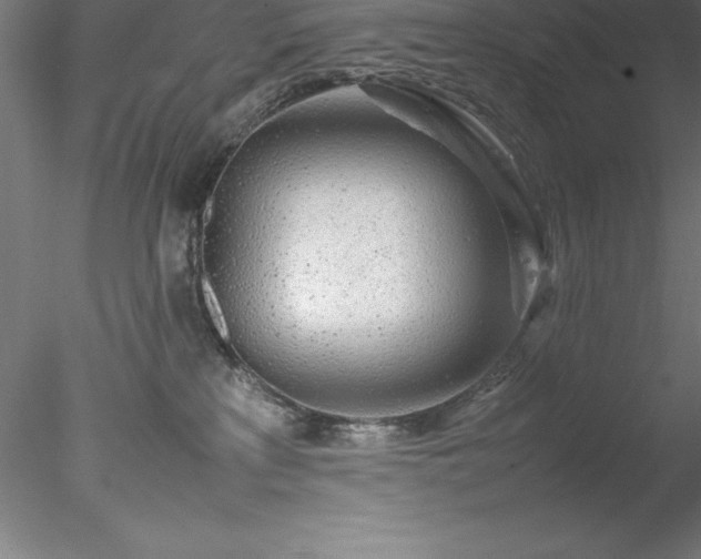 X0000078020233200611031504