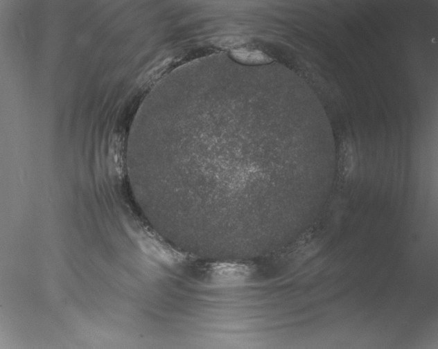 X0000078020234200611031504