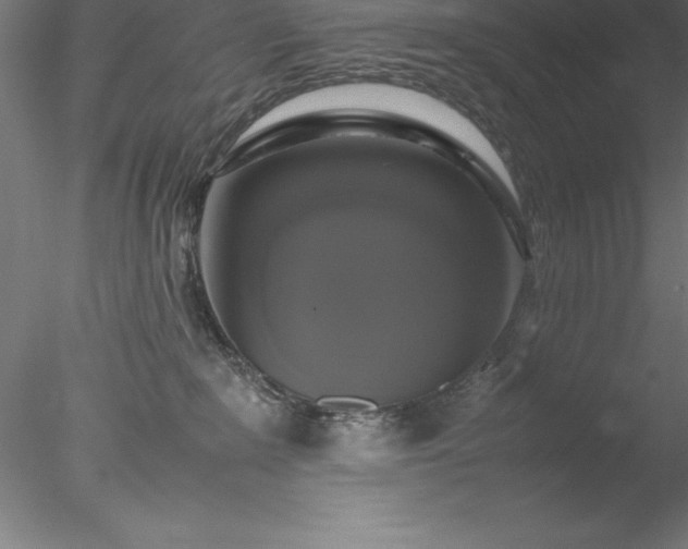 X0000078020235200611031504