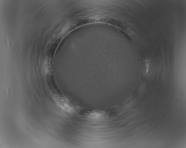 X0000078020236200611031504