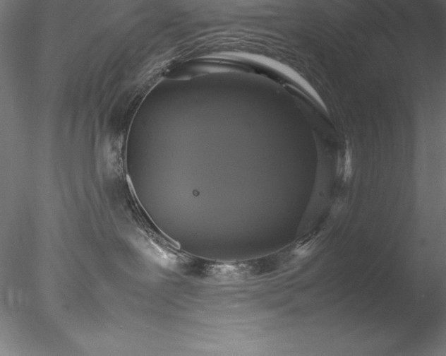 X0000078020239200611031504