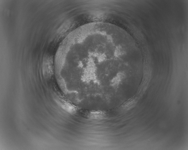 X0000078020240200611031504