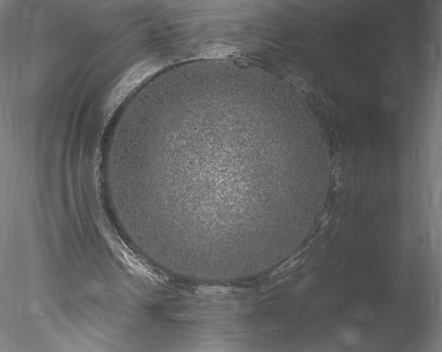 X0000078020242200611031503