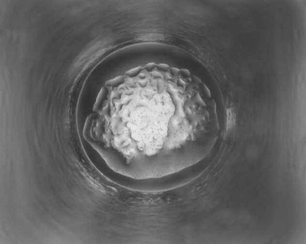 X0000078020243200611031503