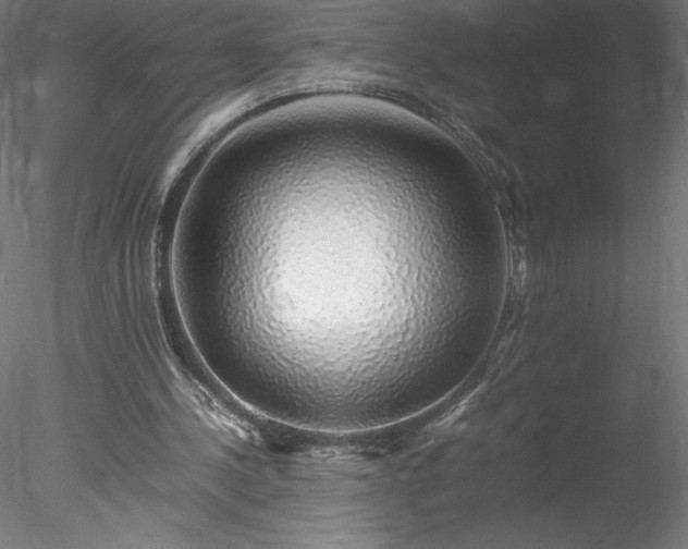 X0000078020244200611031503