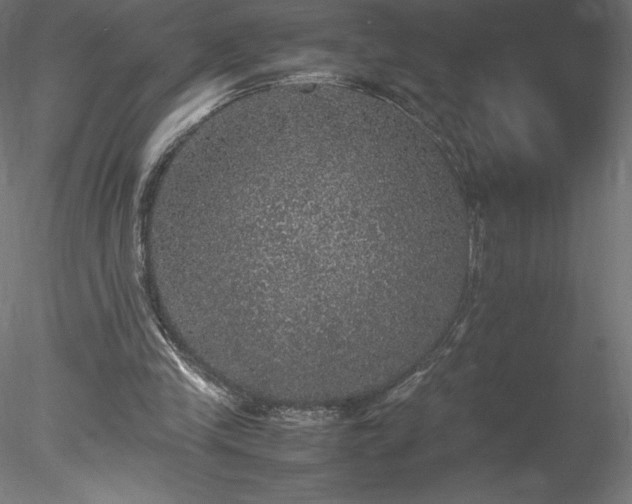 X0000078020245200611031503