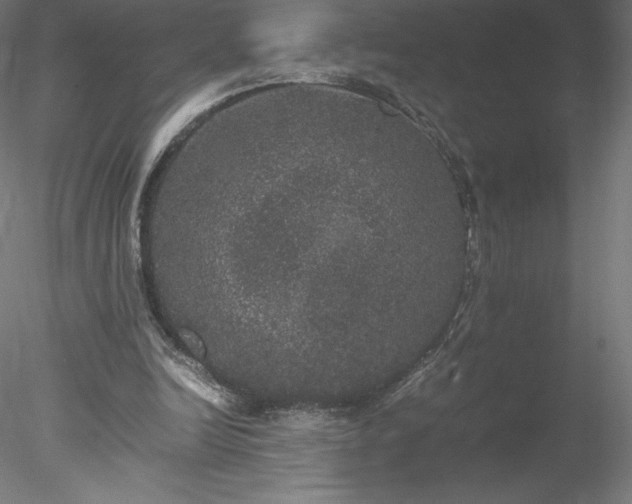 X0000078020246200611031503