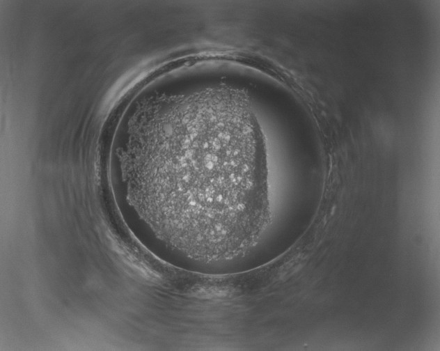 X0000078020247200611031503