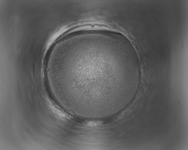 X0000078020248200611031503