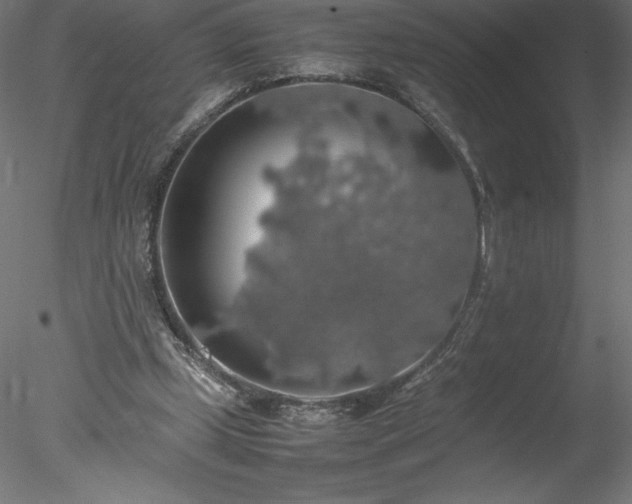 X0000078020249200611031503