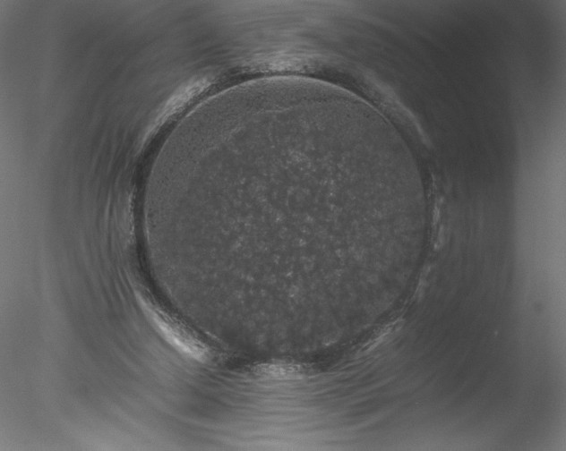 X0000078020250200611031503