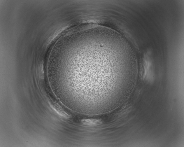 X0000078020251200611031503