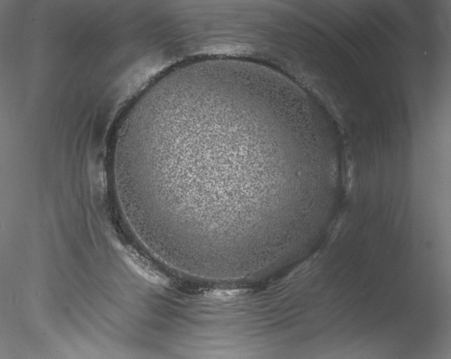 X0000078020252200611031503