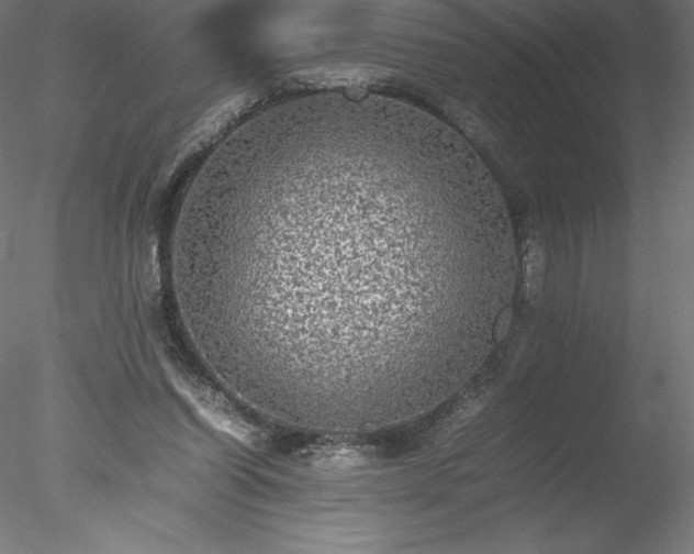 X0000078020254200611031503