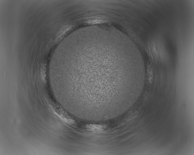 X0000078020255200611031503