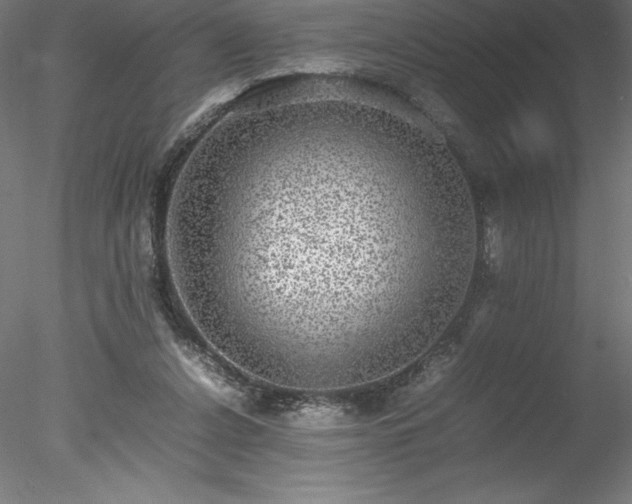 X0000078020256200611031503