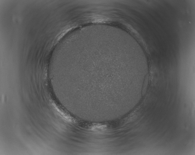 X0000078020257200611031503