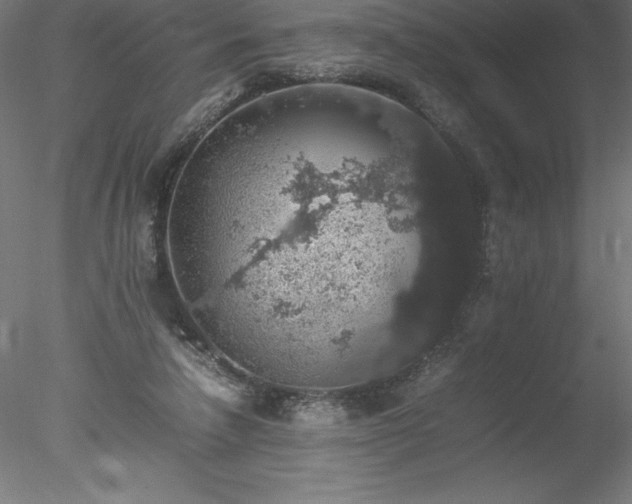 X0000078020258200611031503