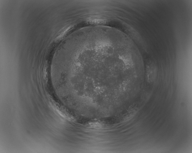 X0000078020259200611031503