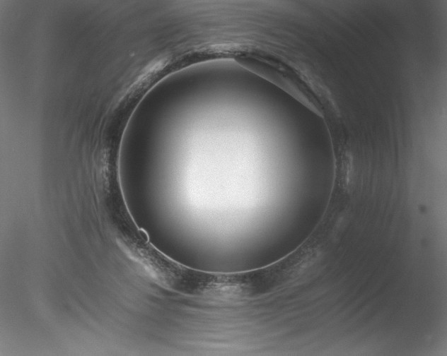 X0000078020260200611031503