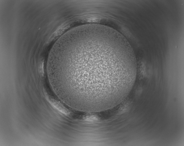 X0000078020262200611031503