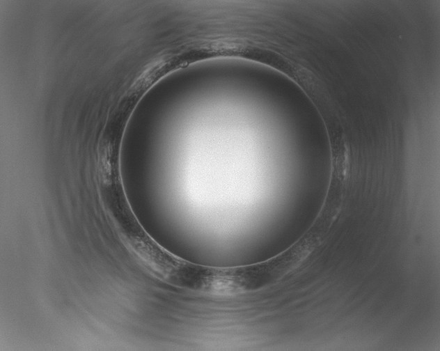 X0000078020264200611031503