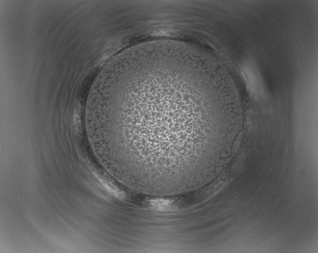 X0000078020265200611031503