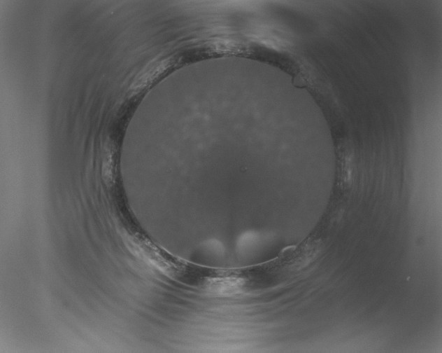 X0000078020266200611031504