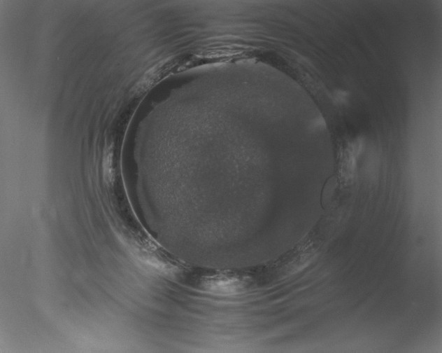 X0000078020267200611031504