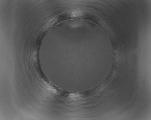 X0000078020269200611031504