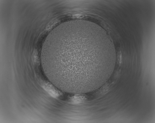 X0000078020270200611031504