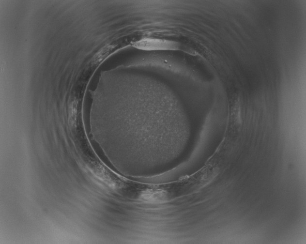 X0000078020271200611031504