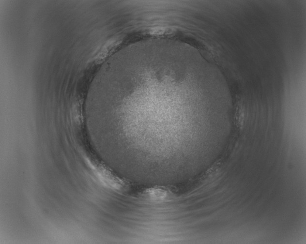 X0000078020272200611031504