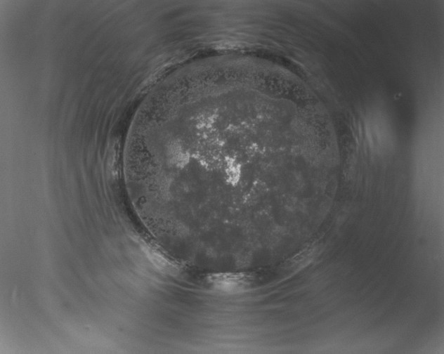 X0000078020273200611031504