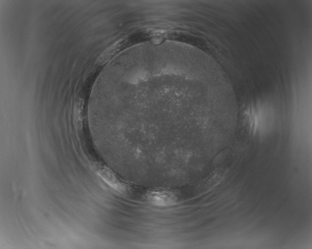 X0000078020275200611031504