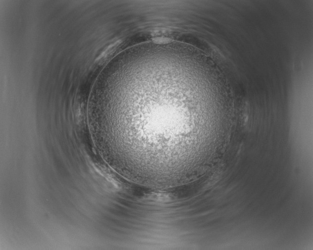 X0000078020276200611031504