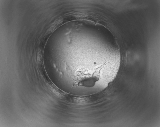 X0000078020277200611031504