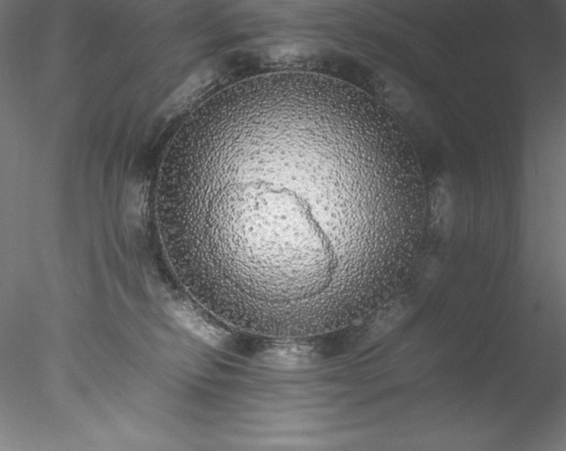 X0000078020278200611031504