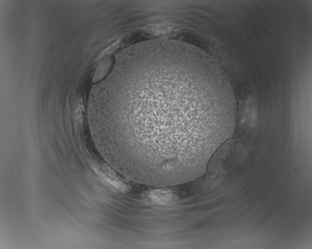 X0000078020279200611031504