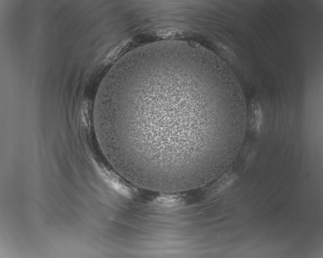 X0000078020280200611031504