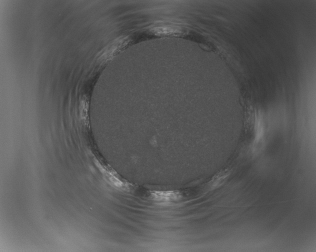 X0000078020281200611031504