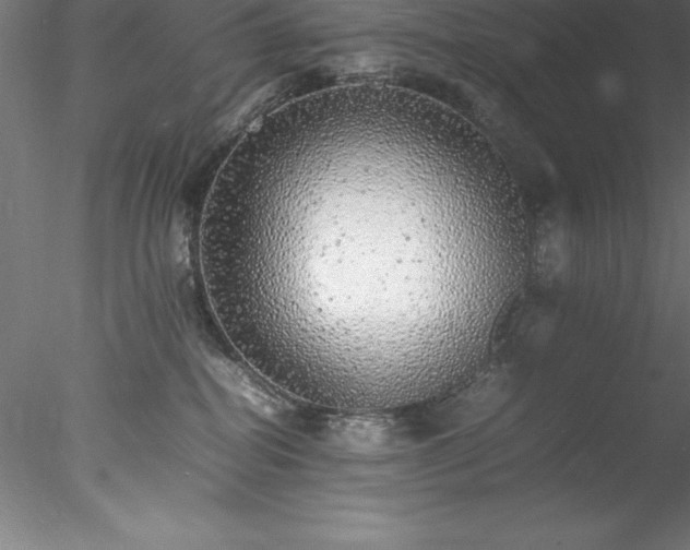 X0000078020282200611031504