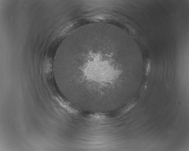 X0000078020284200611031504