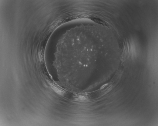 X0000078020285200611031504